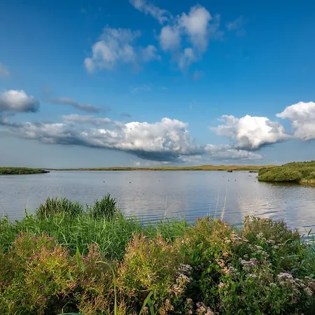 Spacious With Garden アパート *