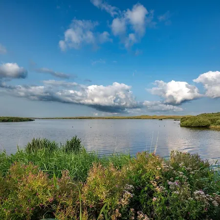 Spacious With Garden アパート